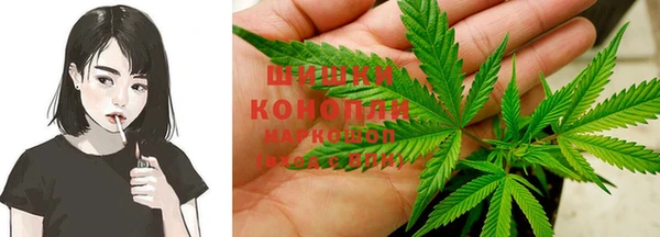 дживик Аркадак