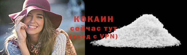 дживик Арсеньев
