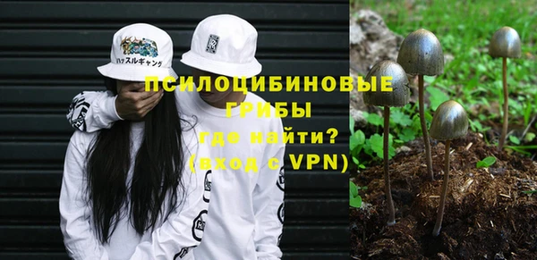 дживик Аркадак