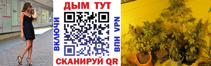 Купить где  Озёрск  МАРИХУАНА индика 